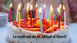 Felicitări de Mihail și Gavril