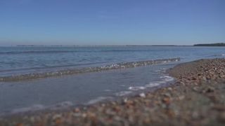 VIDEO Spectacol fascinant pe litoral. Mii de meduze au venit aproape de țărm