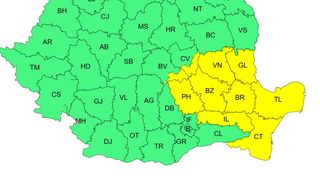 ninsoare, cod galben, vant, vijelie 