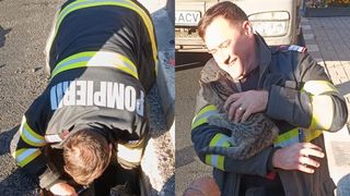 Pompierii din Râmnicu Vâlcea, eroi pentru o pisică. Cum au salvat-o dintr-un canal în care căzuse