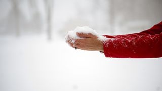 VIDEO Ninge în București! Zonele montane se află sub cod galben de ninsori, iar zăpada se va depune considerabil