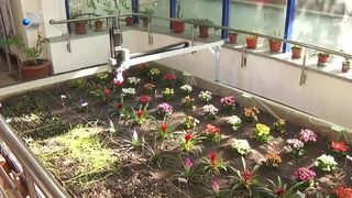 VIDEO &bdquo;Crește productivitatea, optimizează resursele și reduce și costurile&rdquo;. Studenții descoperă agricultura viitorului