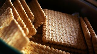 mihaela bilic, alimente expirate, lactate 