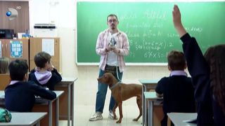 VIDEO &bdquo;Trebuie să &icirc;nțelegeți că ei sunt suflete&rdquo;. Buddy, profesorul blănos din școli
