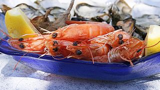 Zile cu dezlegare la pește &icirc;n Postul Crăciunului 2024