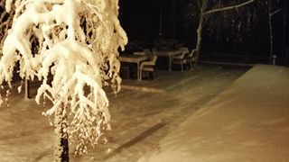 Ninge abundent &icirc;n mai multe zone din țară