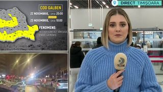 VIDEO Vântul face pagube în județul Timiș