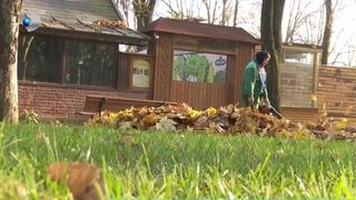 VIDEO Frunzele uscate, transformate &icirc;n compost