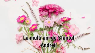 Mesaje și felicitări cu La mulți ani de Sf. Andrei 2024