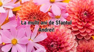 Mesaje și felicitări cu La mulți ani de Sf. Andrei 2024