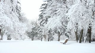 cod galben zapada, harta anm, avertisment 