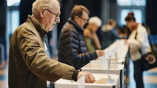 Buletin vot alegeri parlamentare 2024 Suceava