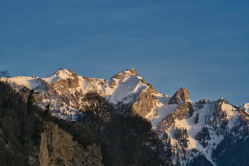muntele tarcu, destinatie vacanta, romania 