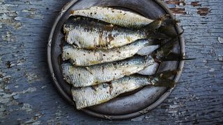 Ce se mănâncă de Sf. Nicolae 2024? Este dezlegare la pește