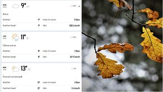 Adio zăpadă în București! Vremea se încălzește de săptămâna viitoare. Când este posibil să ningă în Capitală, conform AccuWeather?
