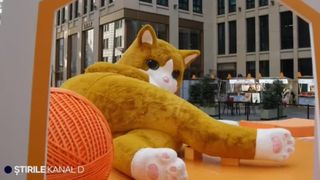 VIDEO Pisică uriașă, atracția turiștilor &icirc;n Shanghai