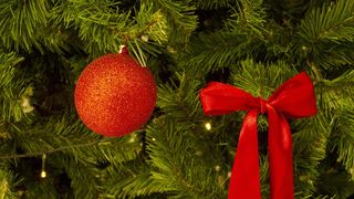 Cât costă un brad de Crăciun în 2024?