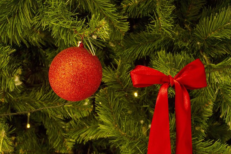 Cât costă un brad de Crăciun în 2024?