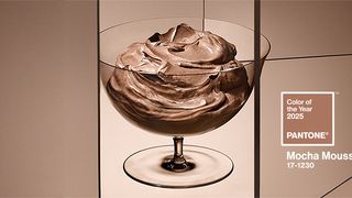 Pantone - Culoarea anului 2025