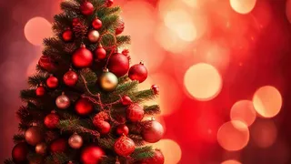 C&acirc;nd se &icirc;mpodobește bradul pentru Crăciun 2024?