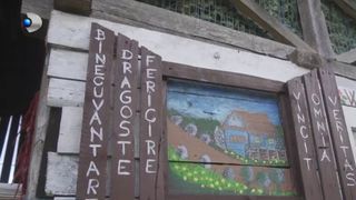 Dă culoare f&acirc;nt&acirc;nilor din sat