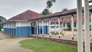 Ce este Boala X și cum se manifestă?