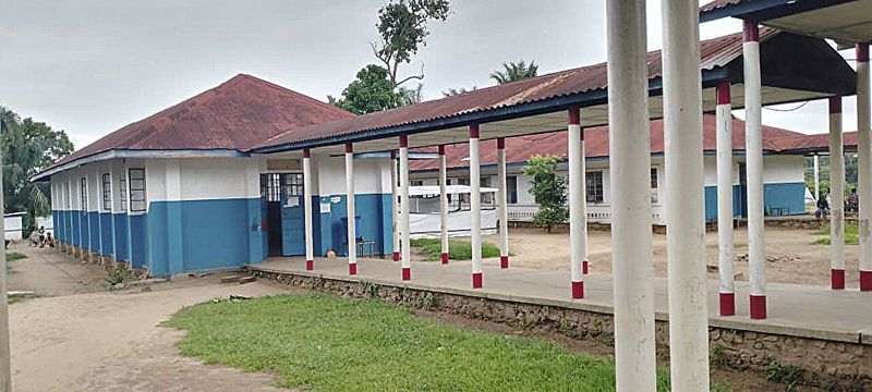 Ce este Boala X și cum se manifestă?