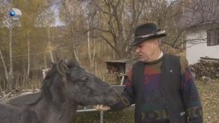 VIDEO  „Toți au zis că sunt nebun”. Pasiunea sa pentru cai a reînviat un loc uitat de lume
