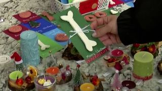 VIDEO T&acirc;rg de Crăciun pentru animalele de companie