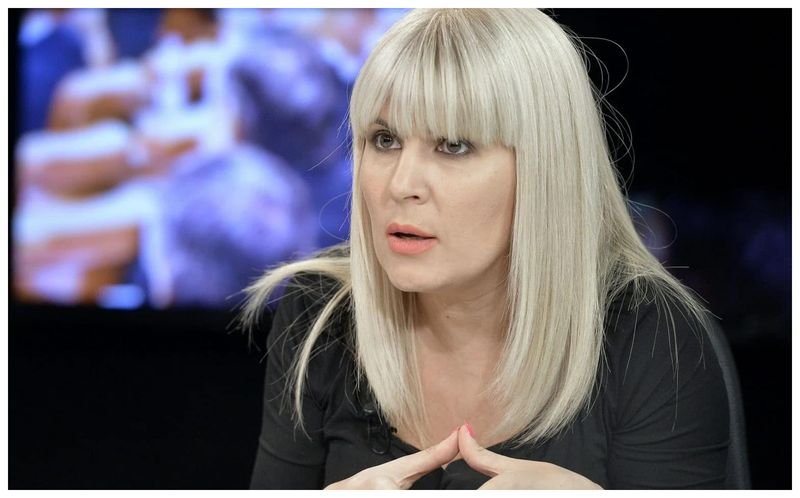elena udrea dosar, elena udrea inchisoare, gala bute 