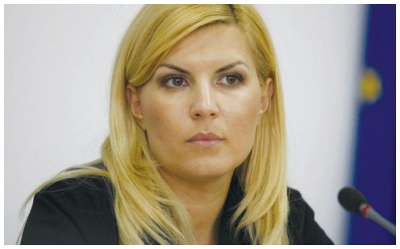 elena udrea dosar, elena udrea inchisoare, gala bute 