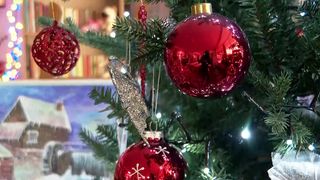 VIDEO &bdquo;Suntem foarte fericite&rdquo;. Magia Crăciunului &icirc;n centrele de plasament