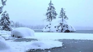 Iluzie optică: Poți să găsești ursul polar din imagine? Doar cei mai inteligenți reușesc în mai puțin de 5 secunde