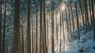 Solstițiul de iarnă 2024: Cea mai lungă noapte din an! Cum sunt zodiile influențate