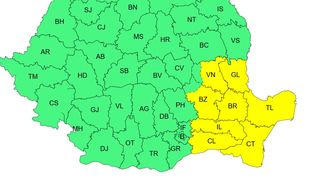 cod galben zapada, harta anm, avertisment 