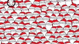 Iată unde se află ascunsă pisica