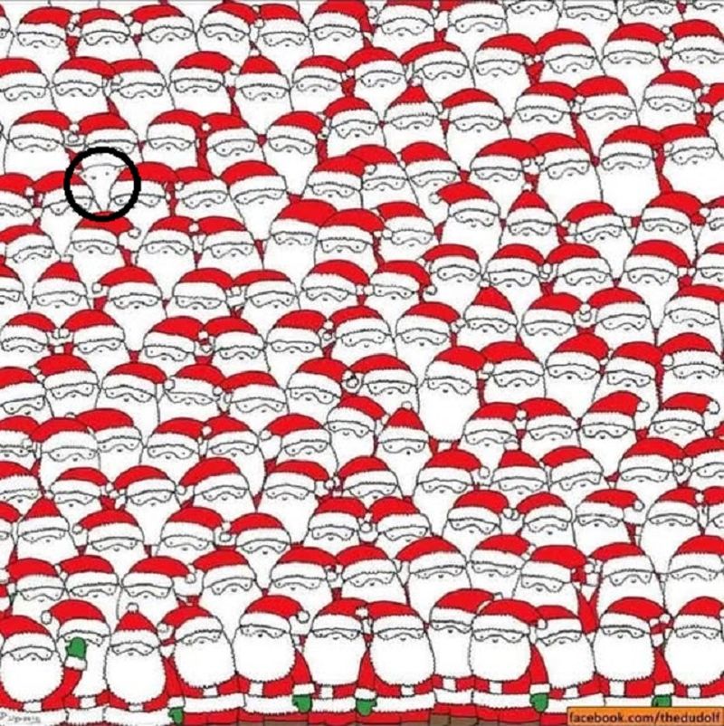 Iată unde se află ascunsă pisica