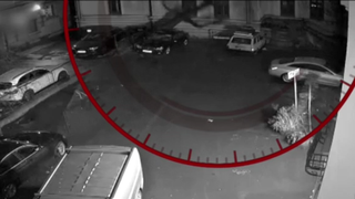 VIDEO Mai mulți oameni și-au văzut mașinile distruse de Crăciun. Vremea rea a dăr&acirc;m&acirc;t copacii peste autoturisme