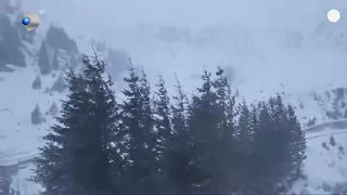 VIDEO Cod galben și portocaliu de vijelii în zeci de județe