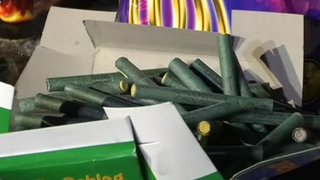 VIDEO Petardele și artificiile, spaimă uriașă pentru animalele de companie