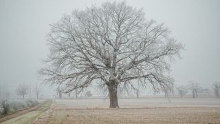 VIDEO Cum va fi vremea de &icirc;n noaptea dintre ani