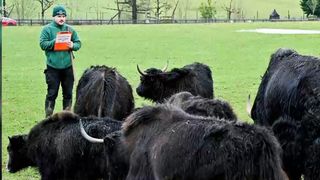 VIDEO Recensământul animalelor la grădina zoologică