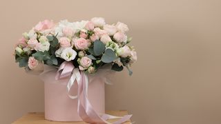 VIDEO Buchet de iarnă: care sunt ultimele tendințe?