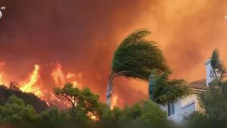 VIDEO Hollywoodul, mistuit de flăcări! 5 morți și mii de persoane evacuate