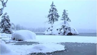 Test: E aproape imposibil să vezi ursul polar camuflat în această imagine. Ai un IQ peste medie dacă reușești