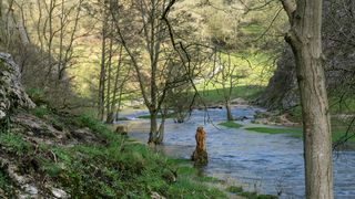 cod galben inundatii, rauri, avertisment hidrologi 