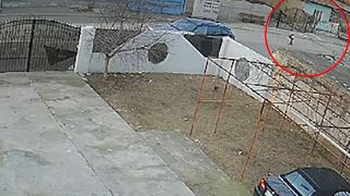 Ultimele imagini cu copilul de 4 ani ucis de c&acirc;ini pe c&acirc;mp.