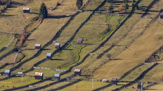 5 lucruri mai puțin cunoscute despre Bucovina