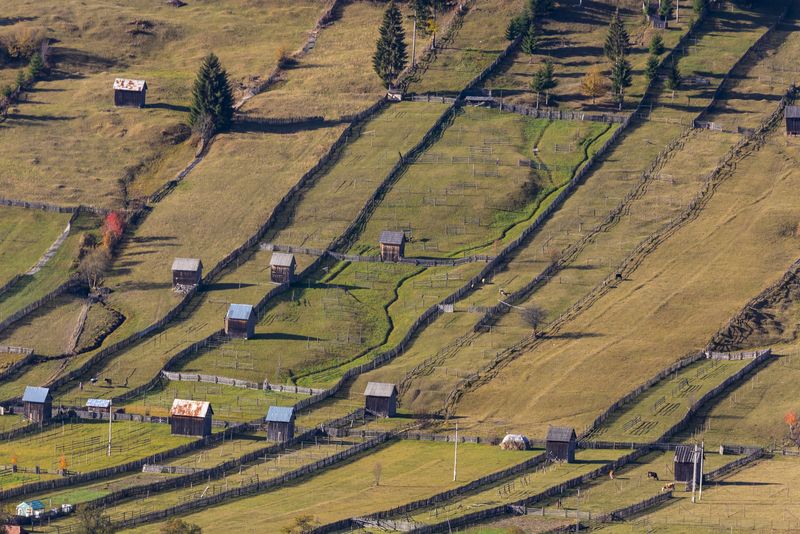 5 lucruri mai puțin cunoscute despre Bucovina