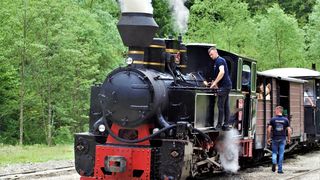 Mocanița din Maramureș